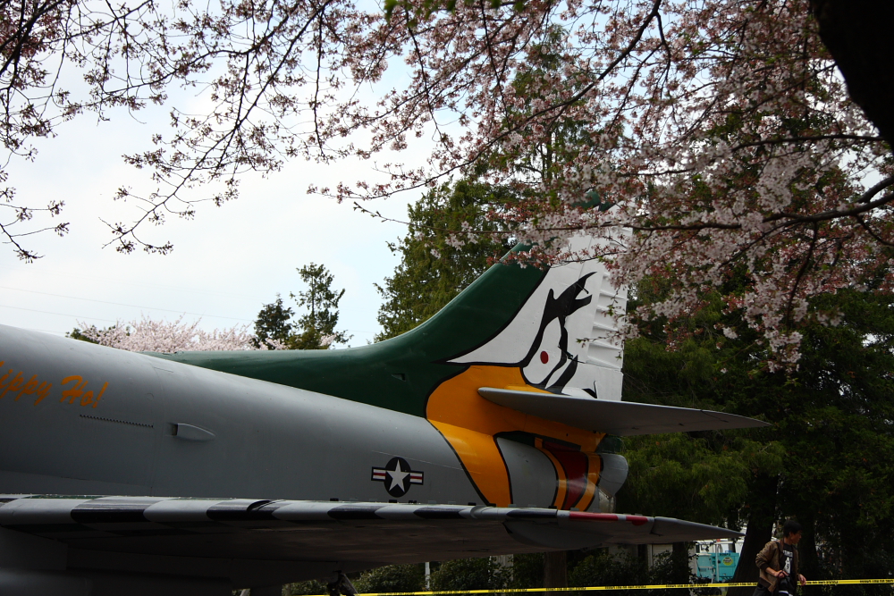 厚木基地桜祭り 十穀おむすびといっしょに 二代目日記